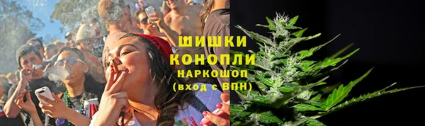 гашик Алексин