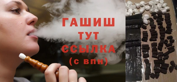 гашик Алексин