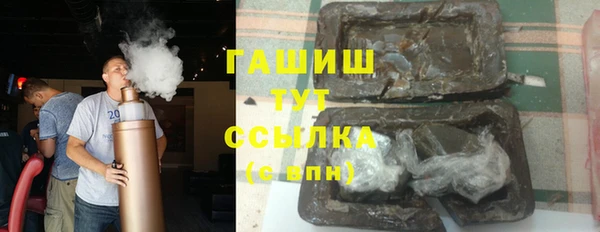 гашик Алексин
