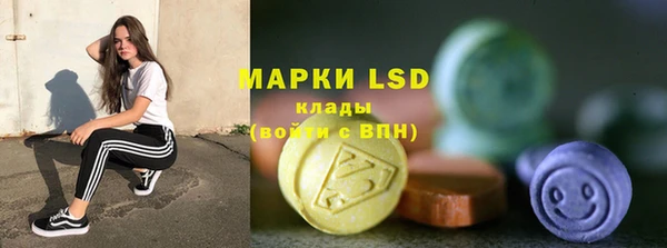 гашик Алексин