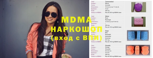 гашик Алексин