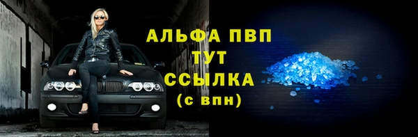 гашик Алексин