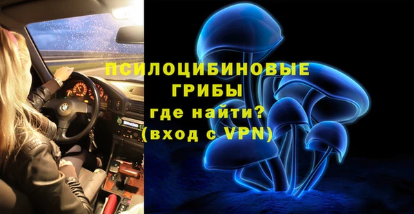 дживик Алзамай